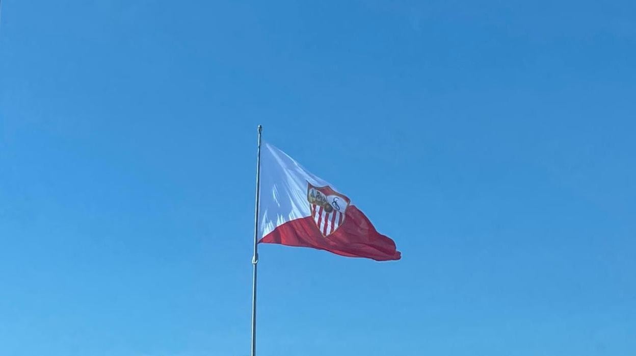 La bandera del Sevilla FC ondoando en la Avenida de Andalucía