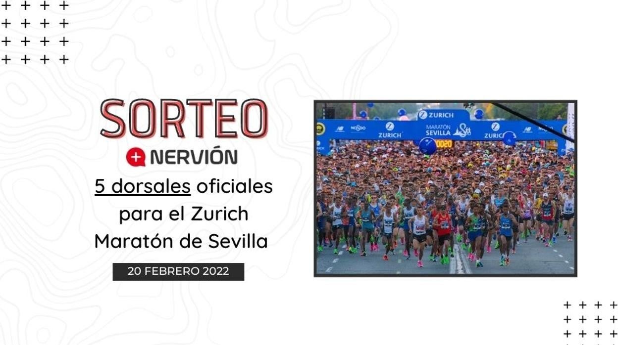 Sorteo: Consigue tu dorsal para correr el Zurich Maratón de Sevilla el próximo 20 de febrero
