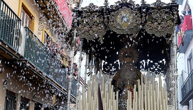 Las galerías de fotos del Miércoles Santo de 2016