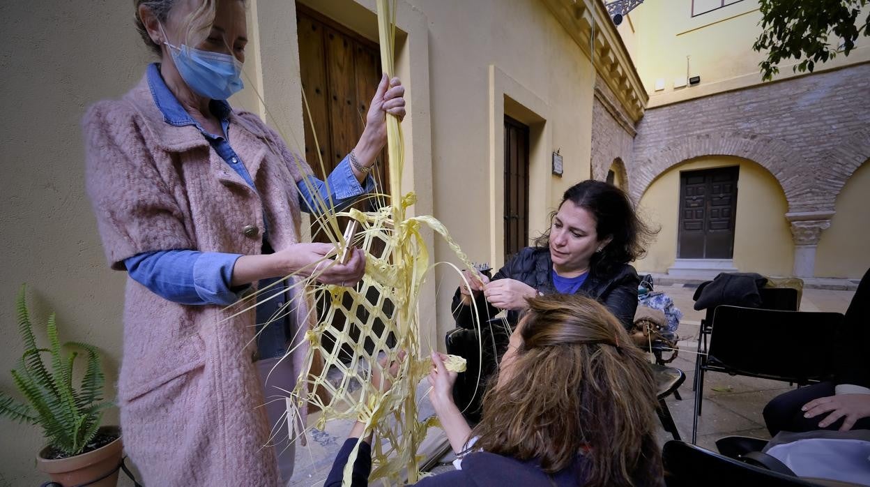 Taller de palmas rizadas