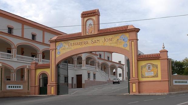 La cooperativa de Lora de Estepa, Olivarera San José
