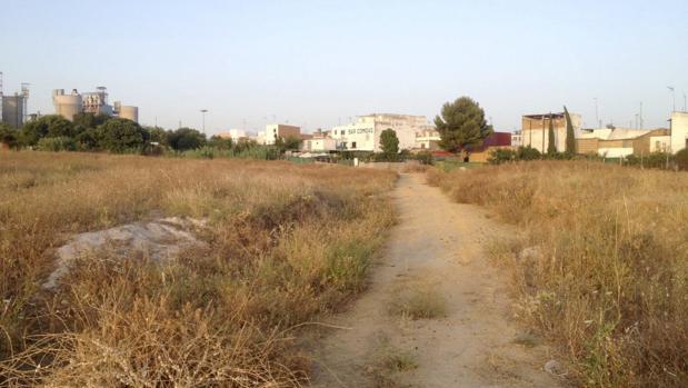 El camino donde han encontrado el coche con el cadáver dentro