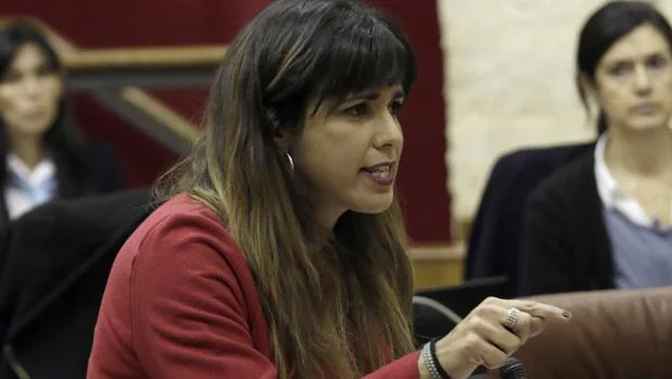 Teresa Rodríguez denunció la agresión el 23 de diciembre