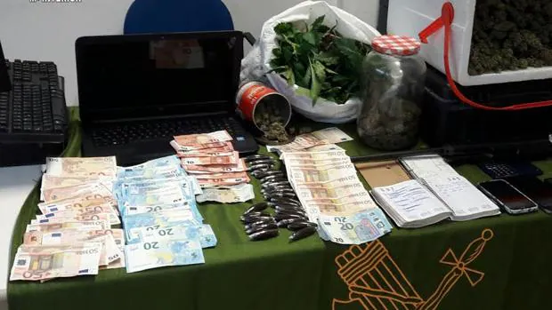 Se incautaron más de un kilo y medio de hachís, un kilo de cogollos de marihuana, 96 plantas de cannabis y más de 6.000 euros en efectivo