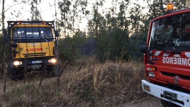 El incendio en la finca taurina de Partido de Resina parece «a todas luces provocado»