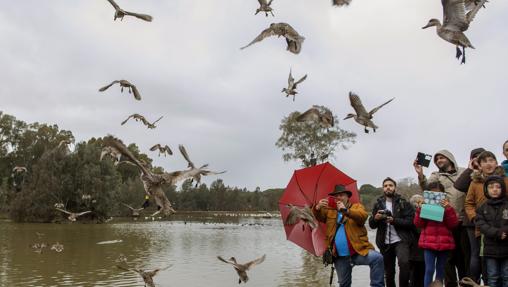 La cañada de los pájaros
