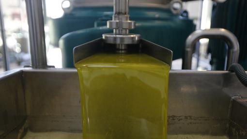 La calidad de los aceites de La Puebla de Cazalla son de primer nivel