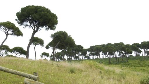 El parque de Oromana en Alcalá de Guadaíra