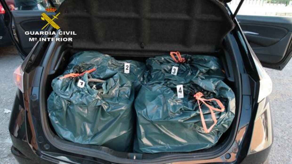 La droga incautada por la Guardia Civil de Tráfico