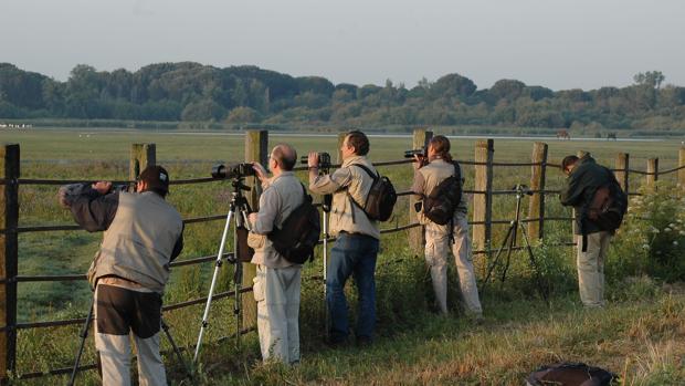 La Dehesa de Abajo reúne a ornitólogos de toda Europa