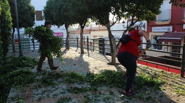 Batallón vecinal de limpieza
