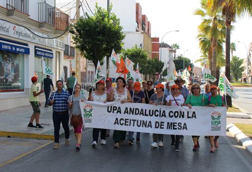 Tractorada en Los Palacios para reivindicar un precio justo de la aceituna
