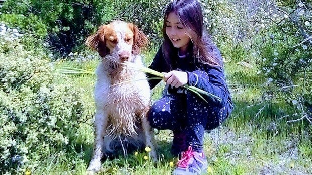 La carta abierta de un abuelo al «envenenador» del cachorro de su nieta