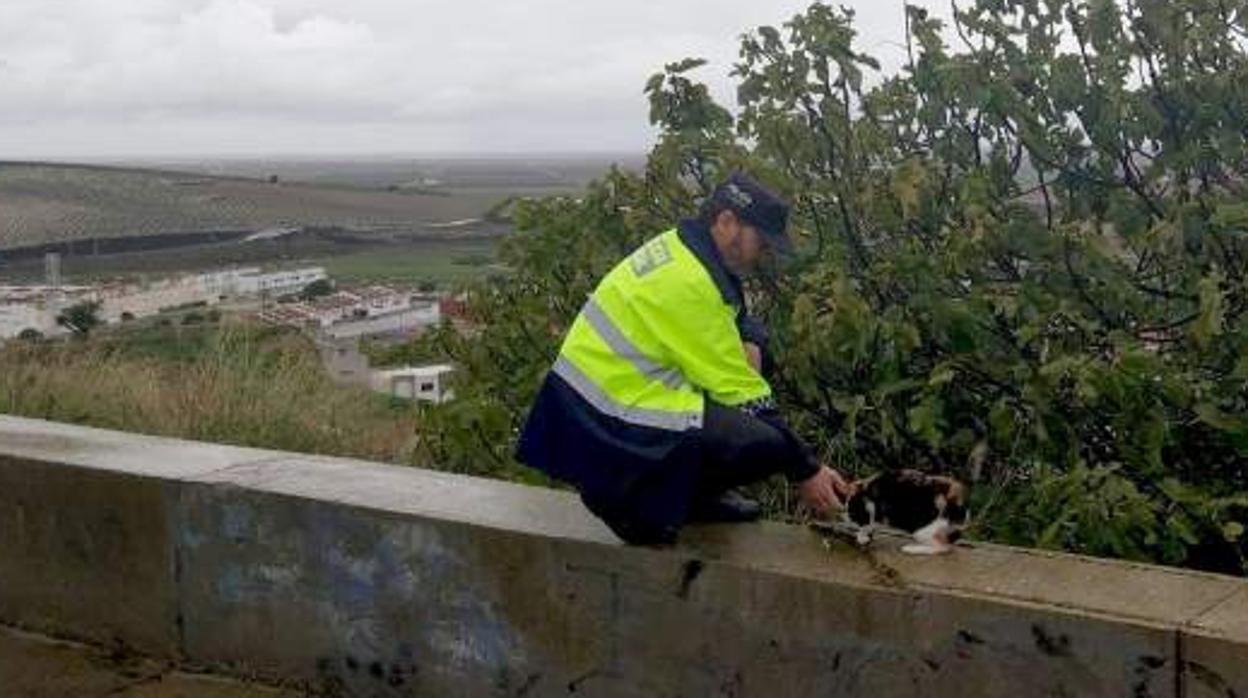 Un policía local de Utrera atiende a un gato