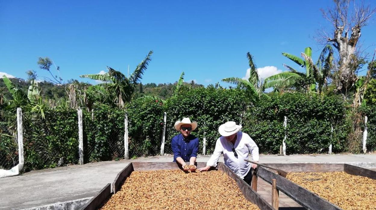 El utrerano Diego Panal ha buscado en Centroamérica los mejores granos de café del mundo