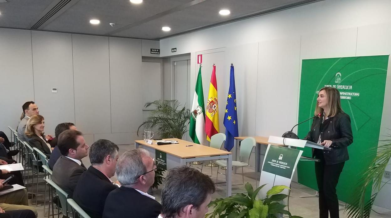 La consejera de Fomento, Marifrán Carazo, durante la presentación de la convocatoria de ayudas