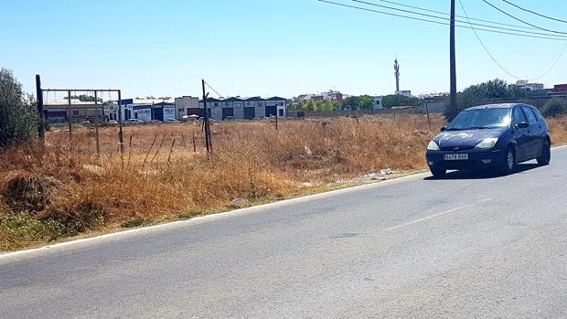 Muere un ciclista atropellado por un turismo en Los Palacios y Villafranca