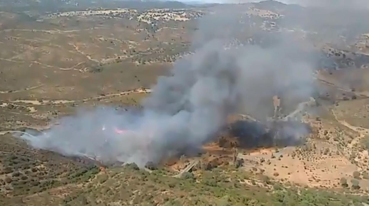 Incendio en El Madroño