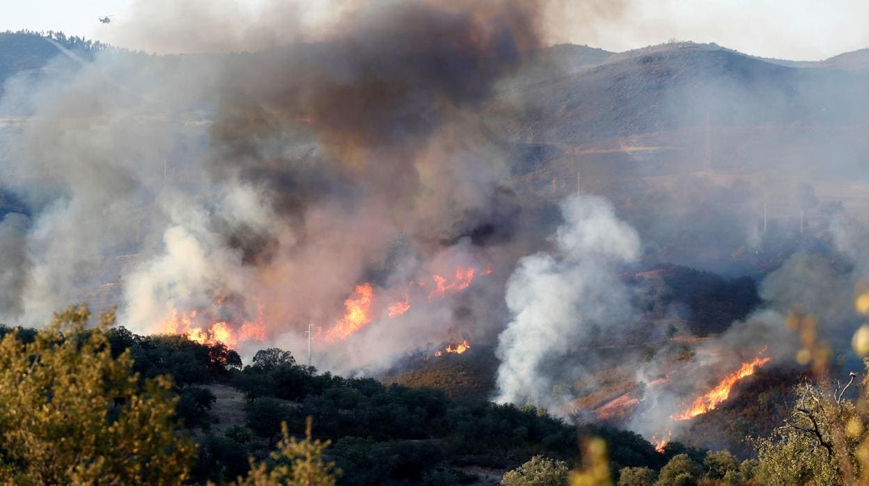 Incendio forestal en El Madroño