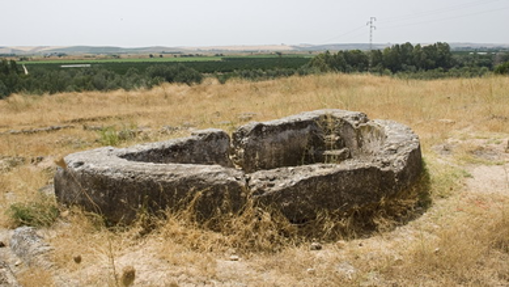 Piscina semicircular del yacimiento Celti en Albaida del Aljarafe