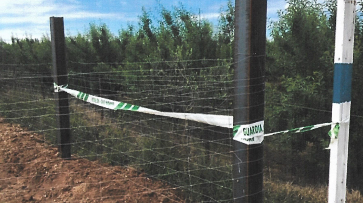 Imagen del precinto de la Guardia Civil en la parcela de Dos Hermanas