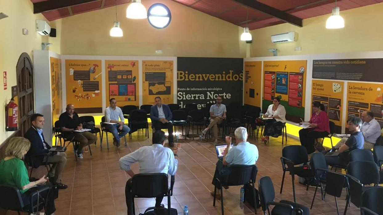 El delegado del Gobierno de la Junta de Andalucía en Sevilla con los alcaldes de El Real de la Jara, Alanís y Guadalcanal y representantes de Telefónica y Endesa