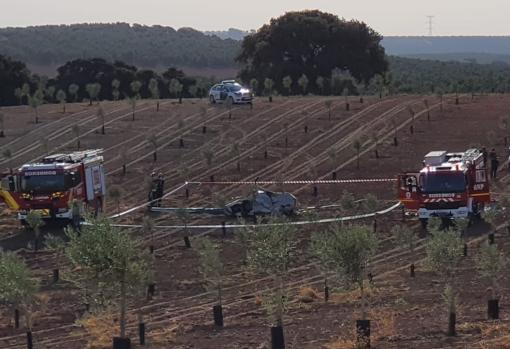 El aparato es de pequeñas dimensiones