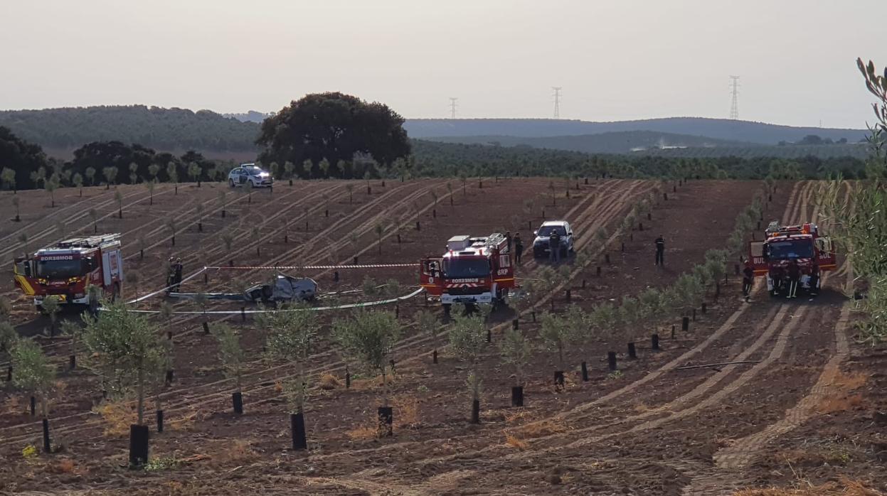 El helicóptero siniestrado, en una zona de olivar de Pedrera