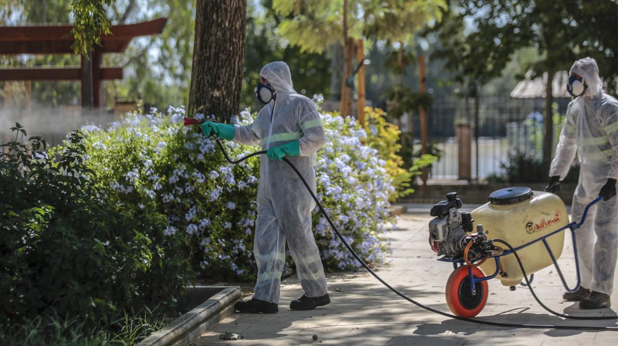 Dos operarios fumigan una zona verde en Coria del Río