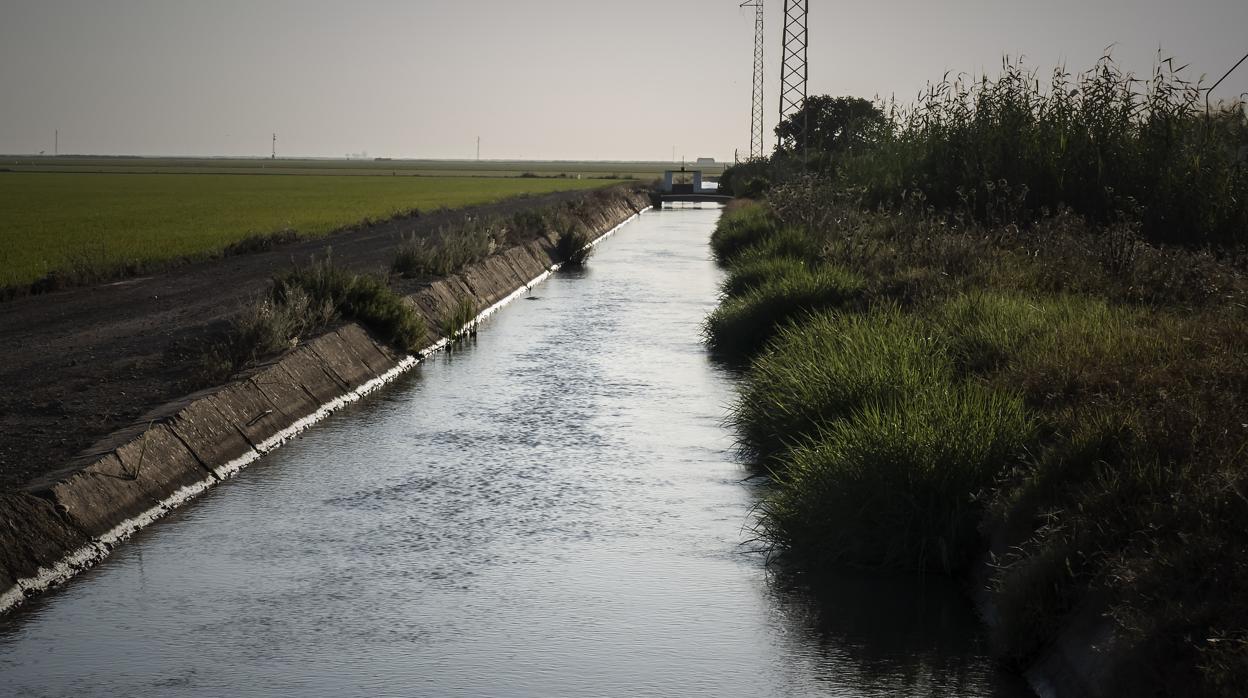 Canales de riego entre la Puebla del Rio e Isla Mayor