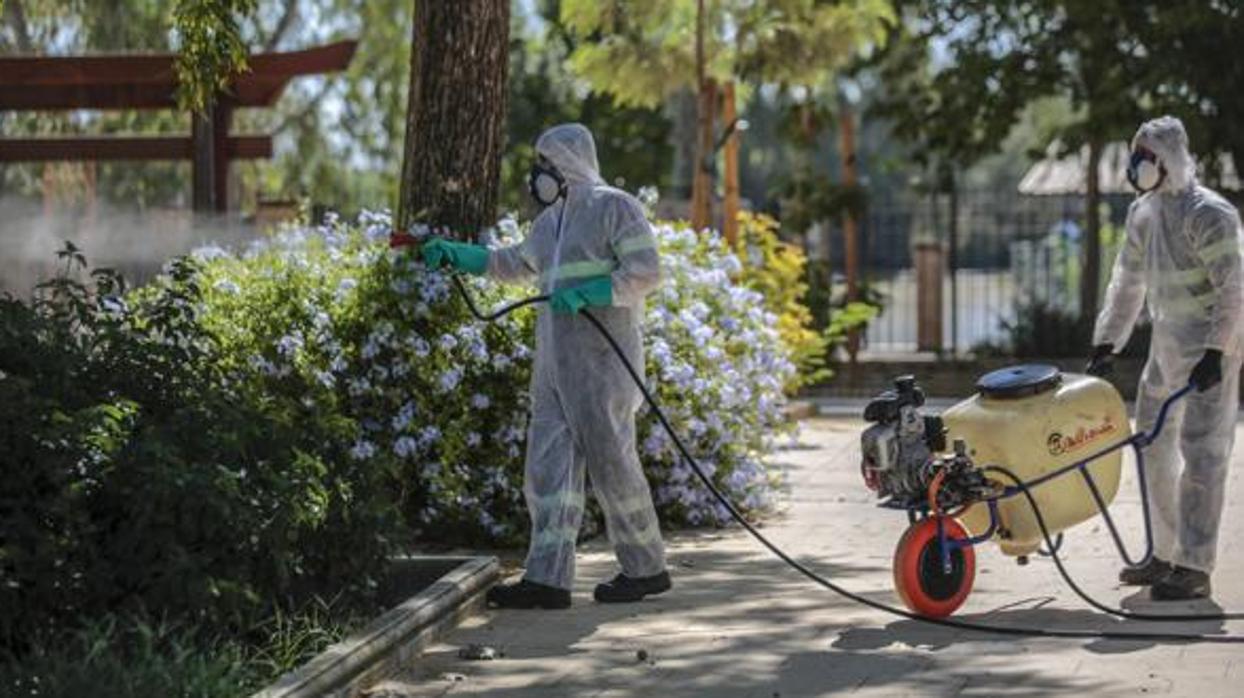 Dos operarios fumigan una zona verde en Coria del Río