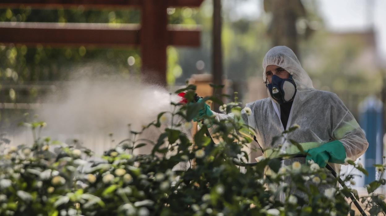 Fumigación frente a los mosquitos para evitar la propagación de la fiebre del Nilo