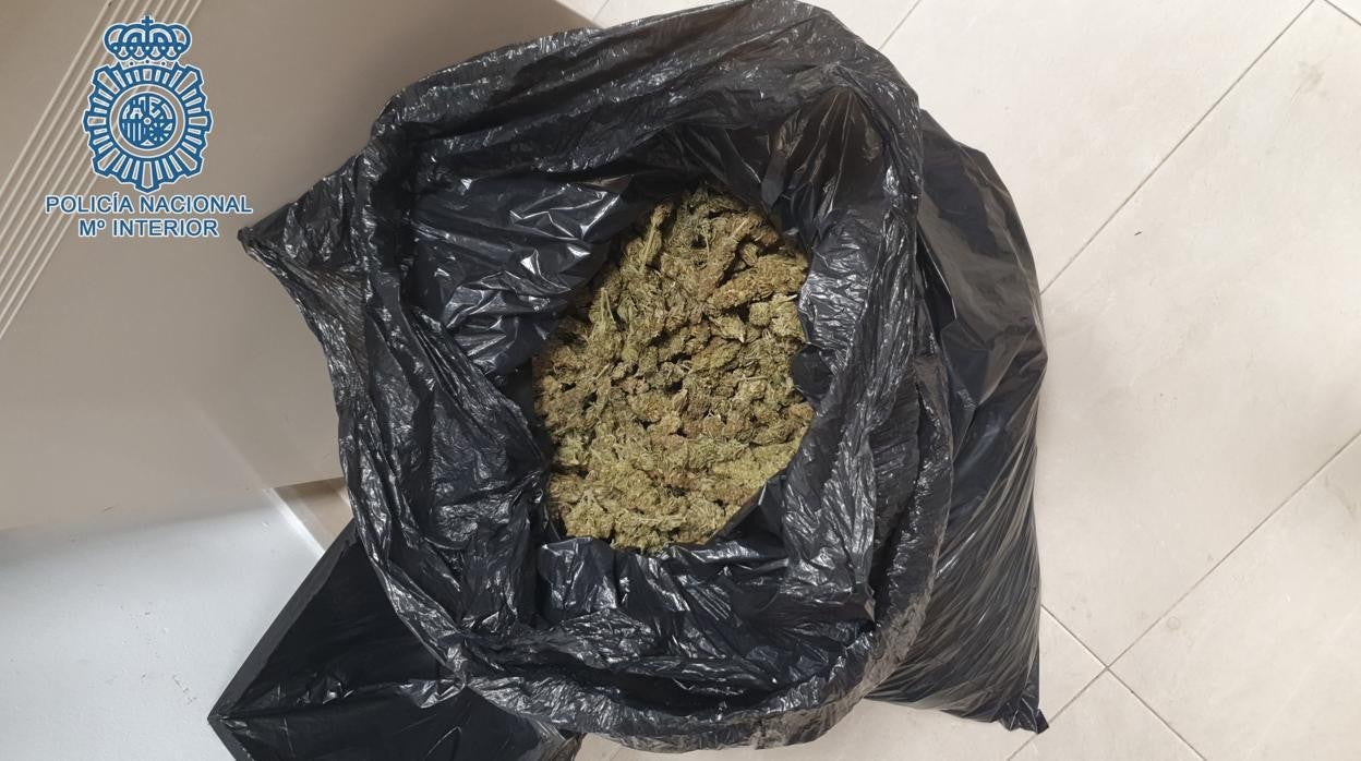 Droga intervenida por la Policia