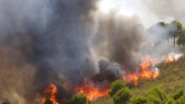 Más de 374 efectivos del Infoca lucharán esta temporada contra el fuego en la provincia de Sevilla