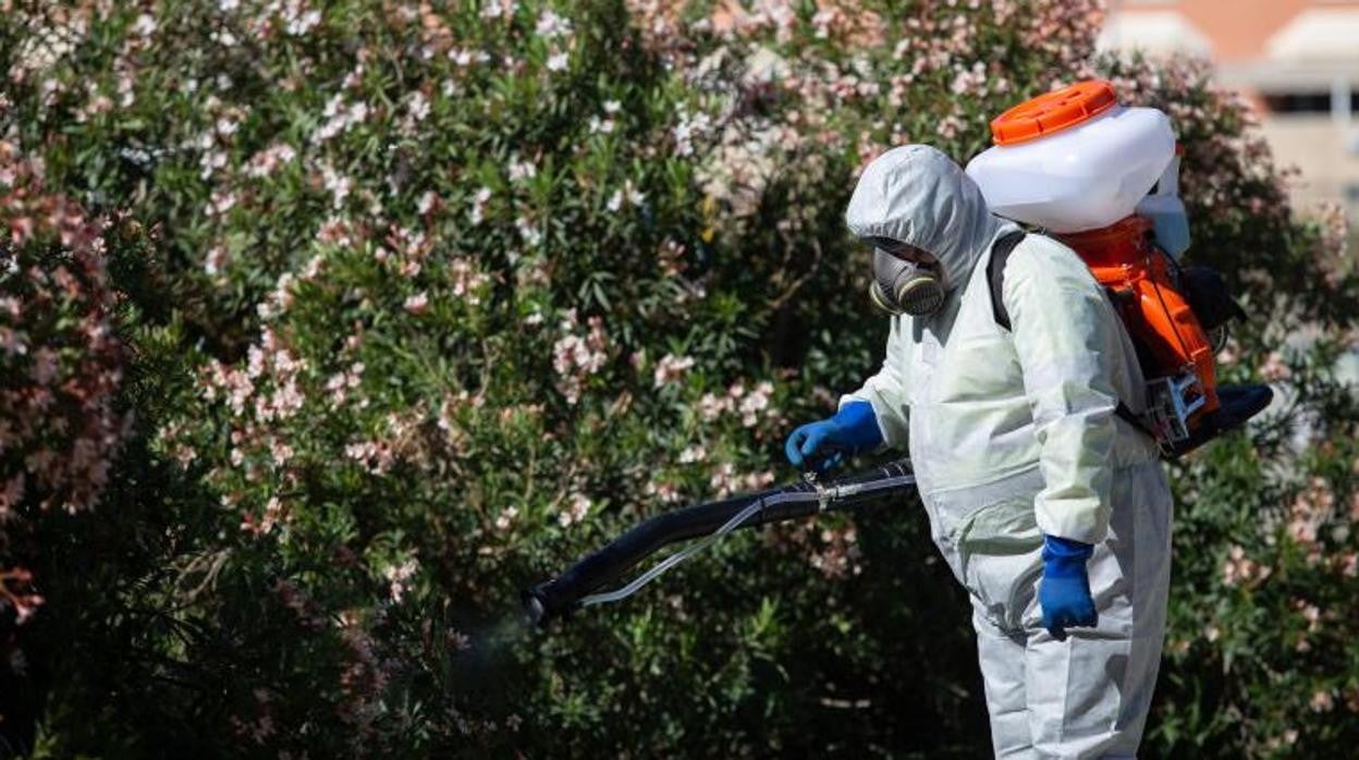 Un operario realiza tareas de fumigación en una zona verde de Coria del Río