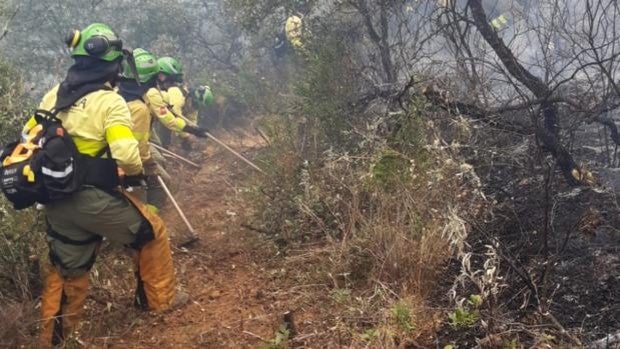 Controlado el incendio forestal declarado en El Garrobo