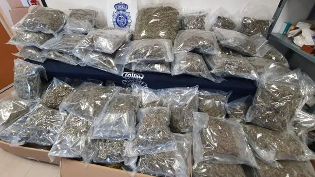 Intervienen 100 kilos de marihuana «made in Sevilla» antes de que fuera enviada a Chipre