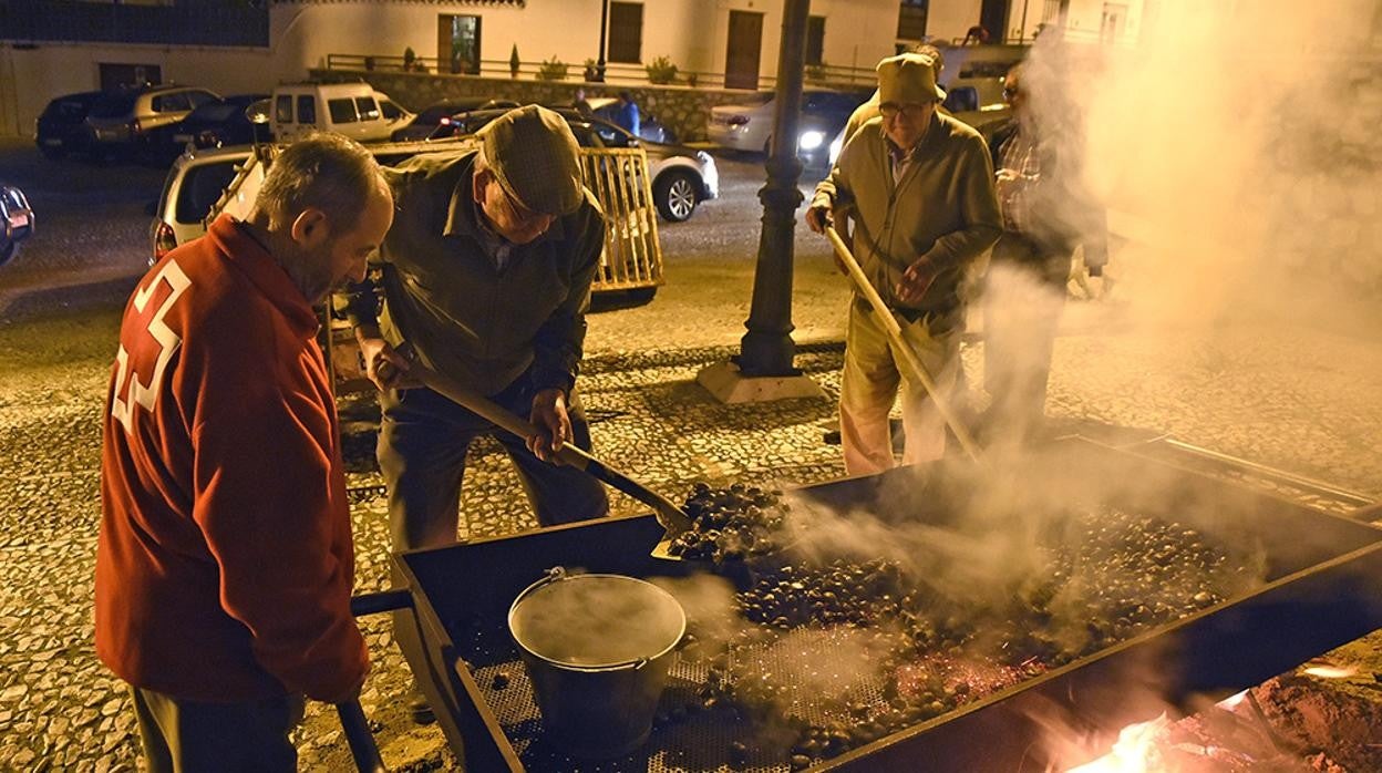 Las castañas, preciado fruto de Aracena