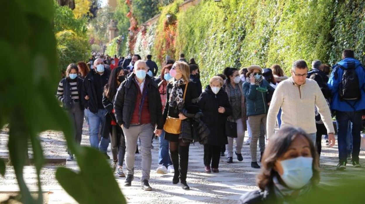 Un grupo de personas durante el puente de la Inmaculada en el entorno de los Jardines de Murillo