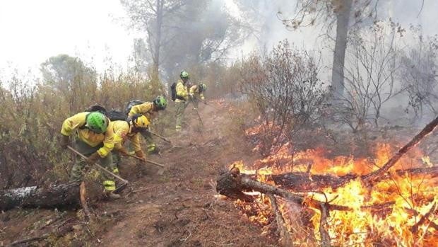 Más de 380 efectivos y 19 millones de euros para luchar contra el fuego este verano en Sevilla