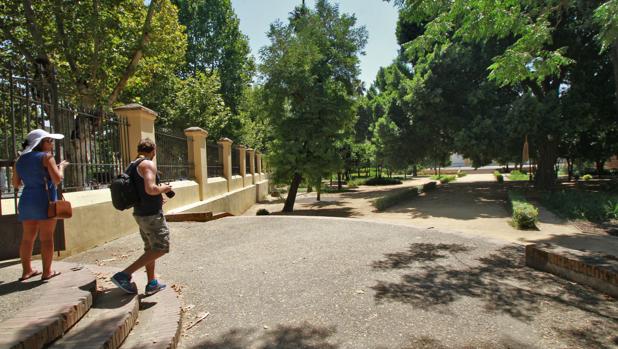 Un plan director fijará cómo deben conservarse los jardines históricos de Sevilla