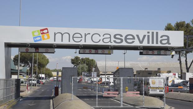 Mercasevilla acumula 12 millones de pérdidas y 24 millones en deudas
