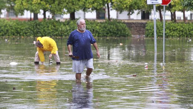 El temporal deja 466 incidencias por lluvias en Sevilla