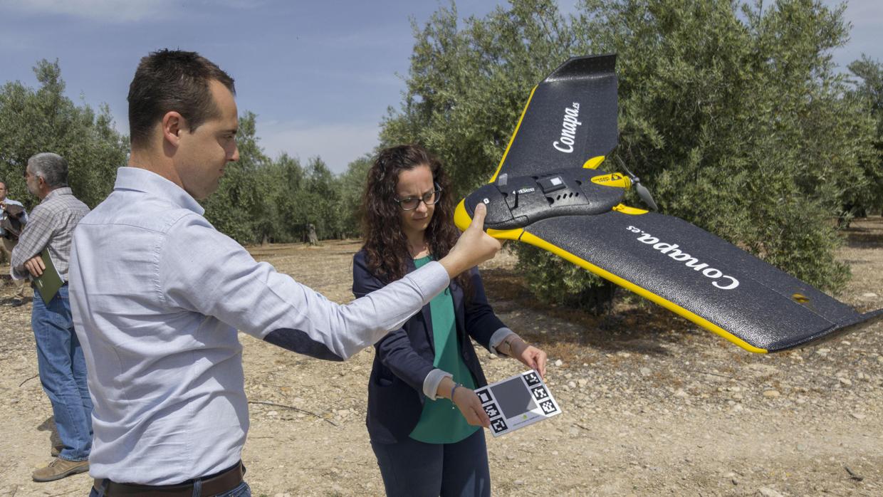 Sevilla acogerá en octubre la mayor feria de drones aplicados al mundo de la agricultura