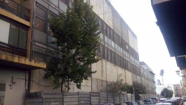El Colegio de Arquitectos de Sevilla «tutelará» las ofertas para la Gavidia