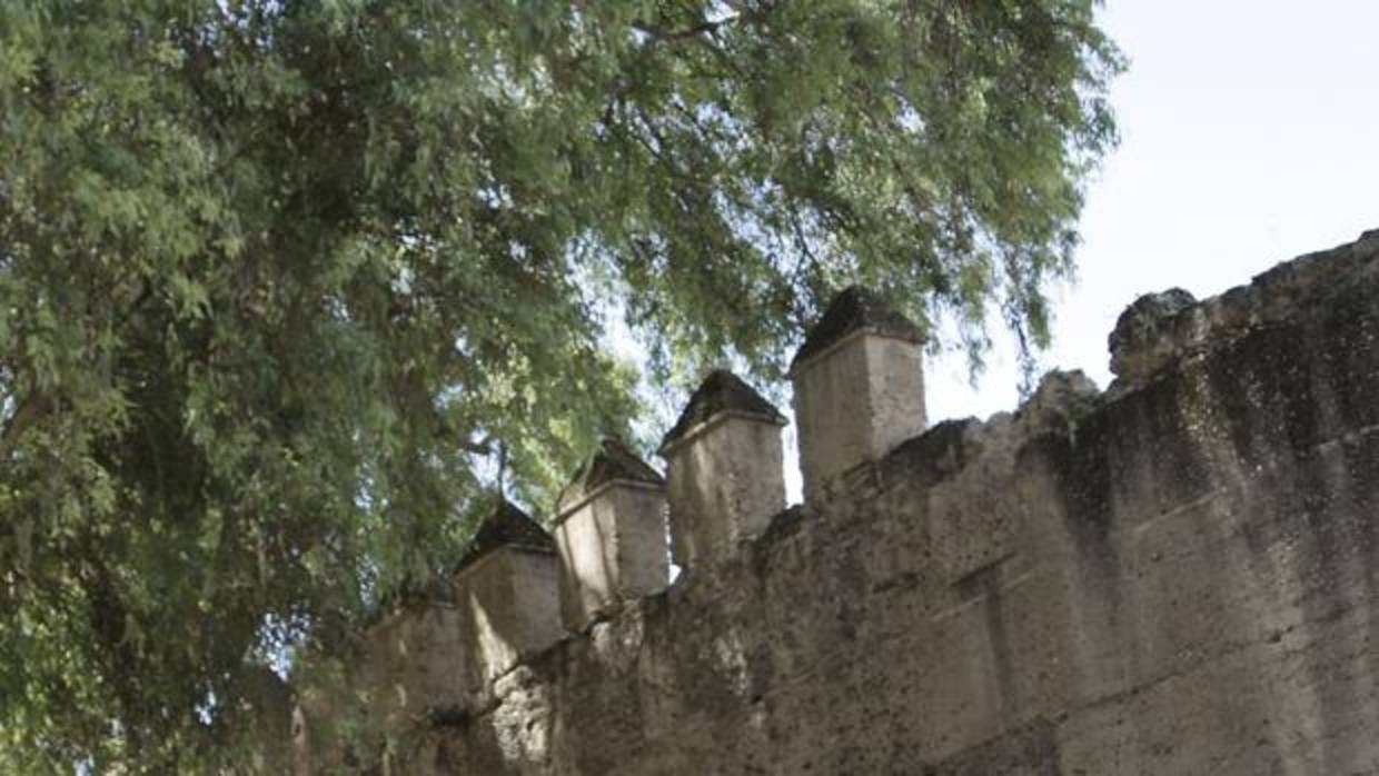 Detalle del lienzo afectado por la caída de la rama