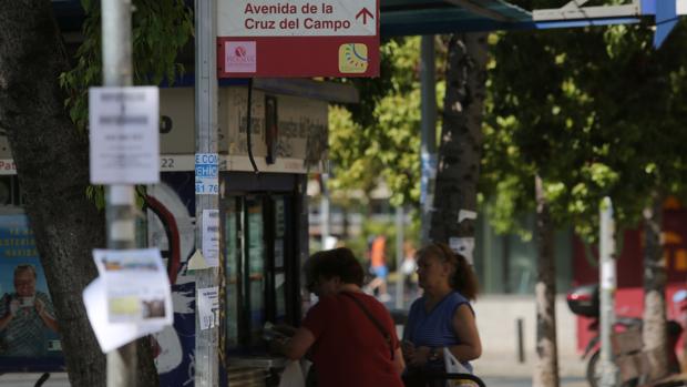 Las farolas de Sevilla infectadas por los anuncios publicitarios