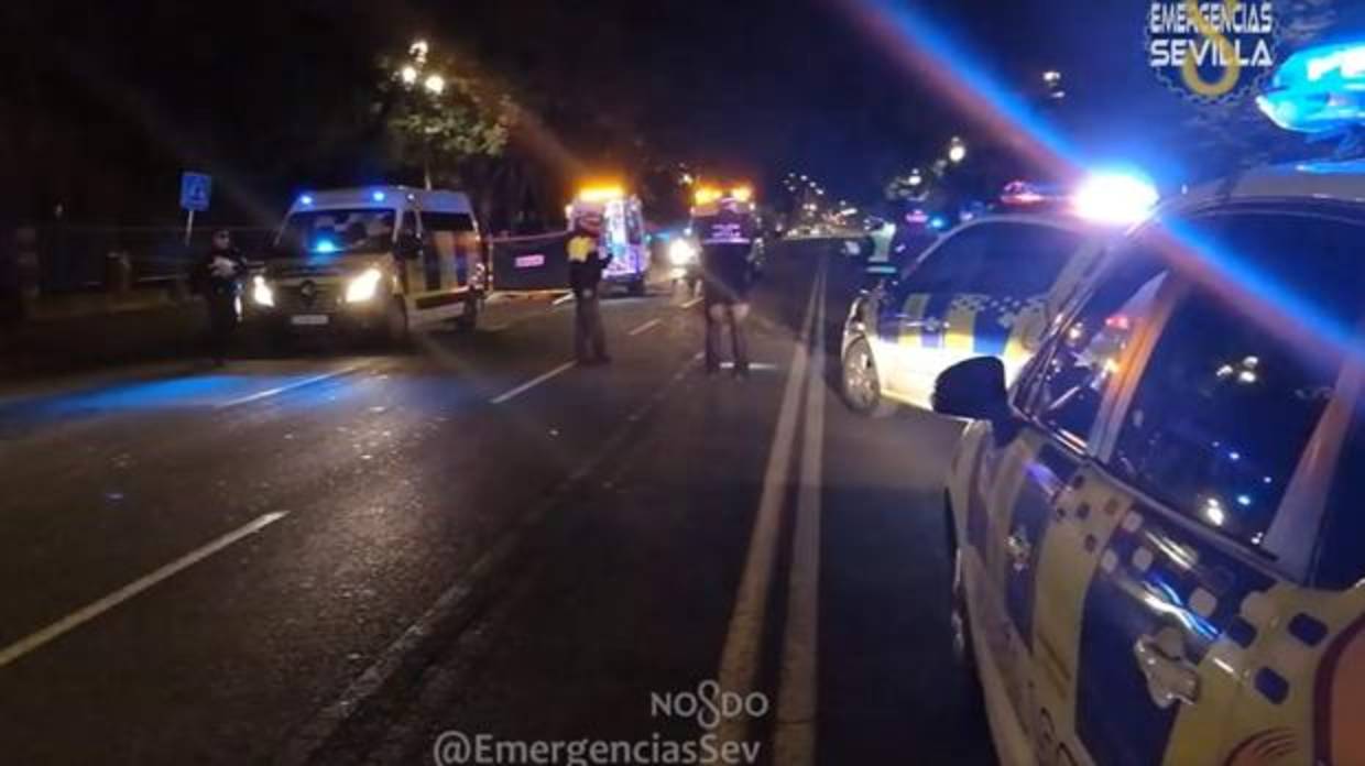 Policía Local y servicios sanitarios en la Avenida de María Luisa