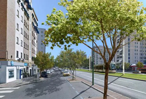 La plantación de más árboles en San Francisco Javier por el Metrocentro reducirá la temperatura 15 grados