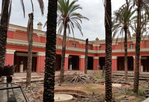 Estado de las palmeras de un patio interior del hotel
